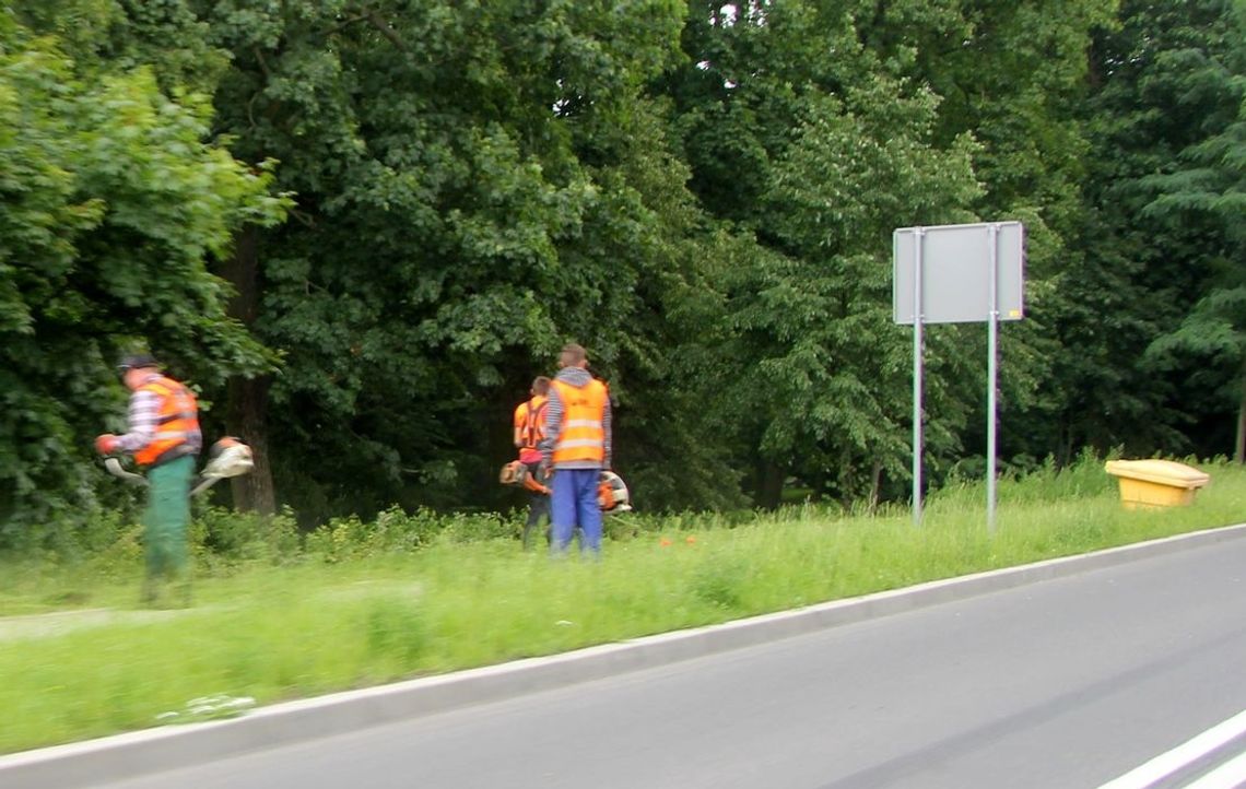 Wzięli się za wykaszanie Wzięli się za wykaszanie