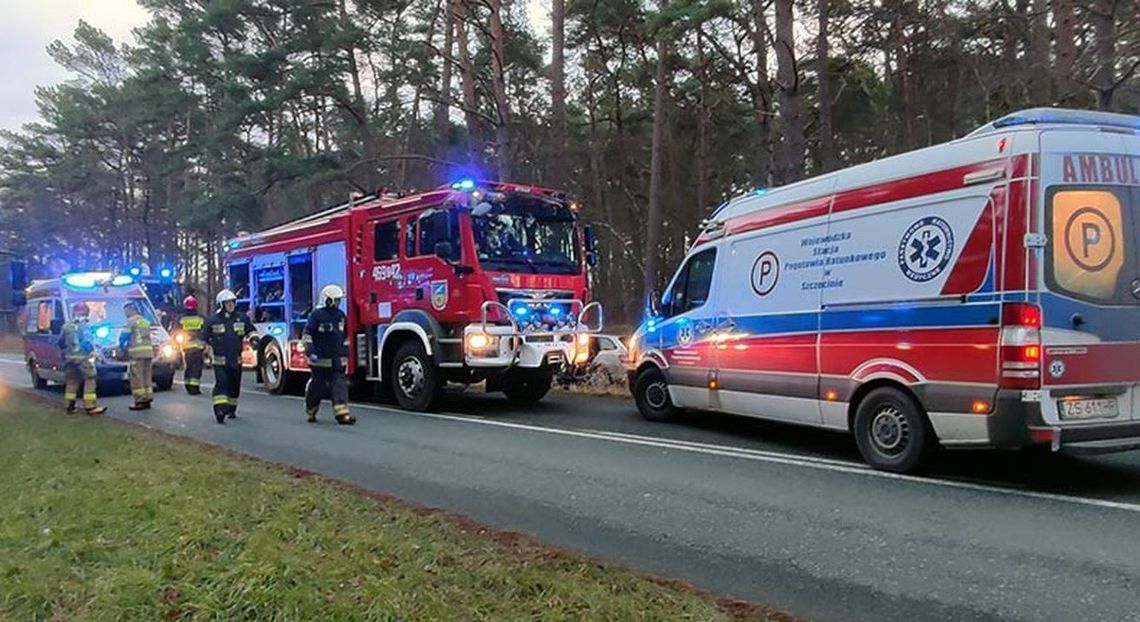 Z drogi wjechał prosto do lasu. Uderzył w drzewo