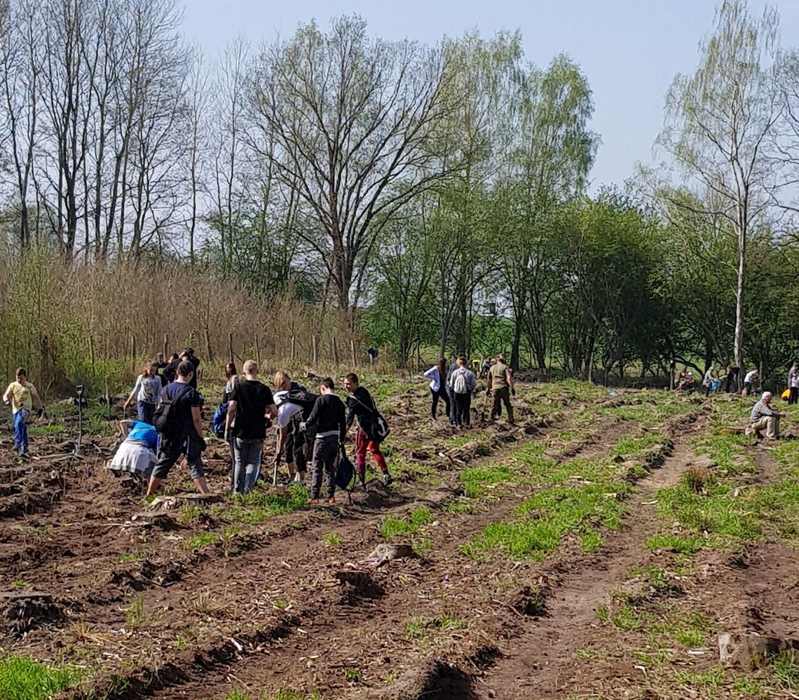 Z myślą o przyszłych pokoleniach posadzili drzewa Z myślą o przyszłych pokoleniach posadzili drzewa