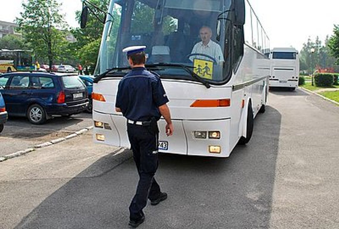 Za 25 zł pojedziesz w sobotę z Gryfina na Święto Dyni do Cedyni Za 25 zł pojedziesz w sobotę z Gryfina na Święto Dyni do Cedyni
