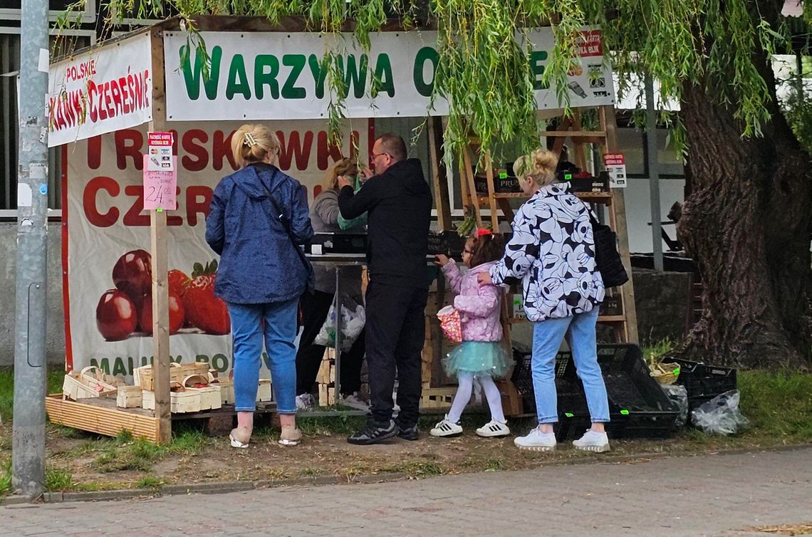 Za chwilę szczyt sezonu truskawkowego. Tanio nie jest Za chwilę szczyt sezonu truskawkowego. Tanio nie jest