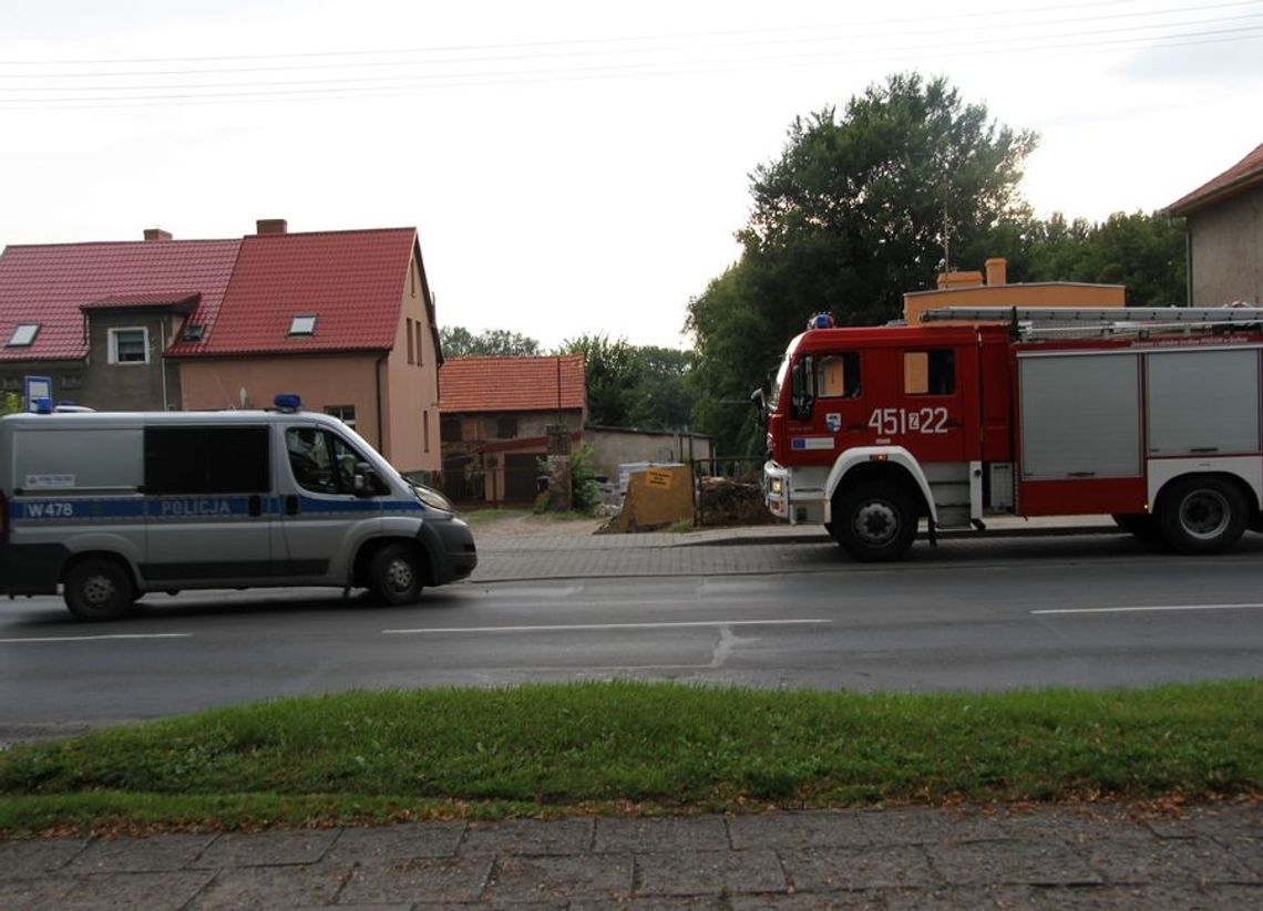 Zabawił się w bobra Zabawił się w bobra