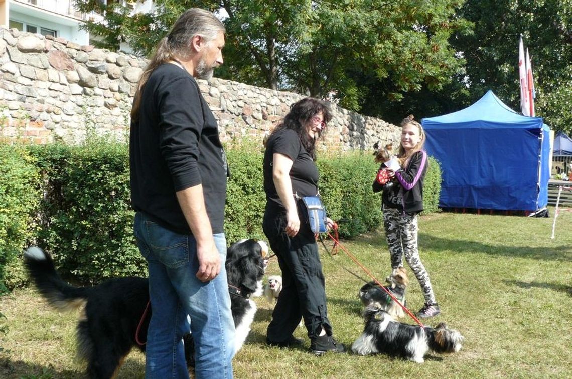 Zabierz psa na piknik Zabierz psa na piknik