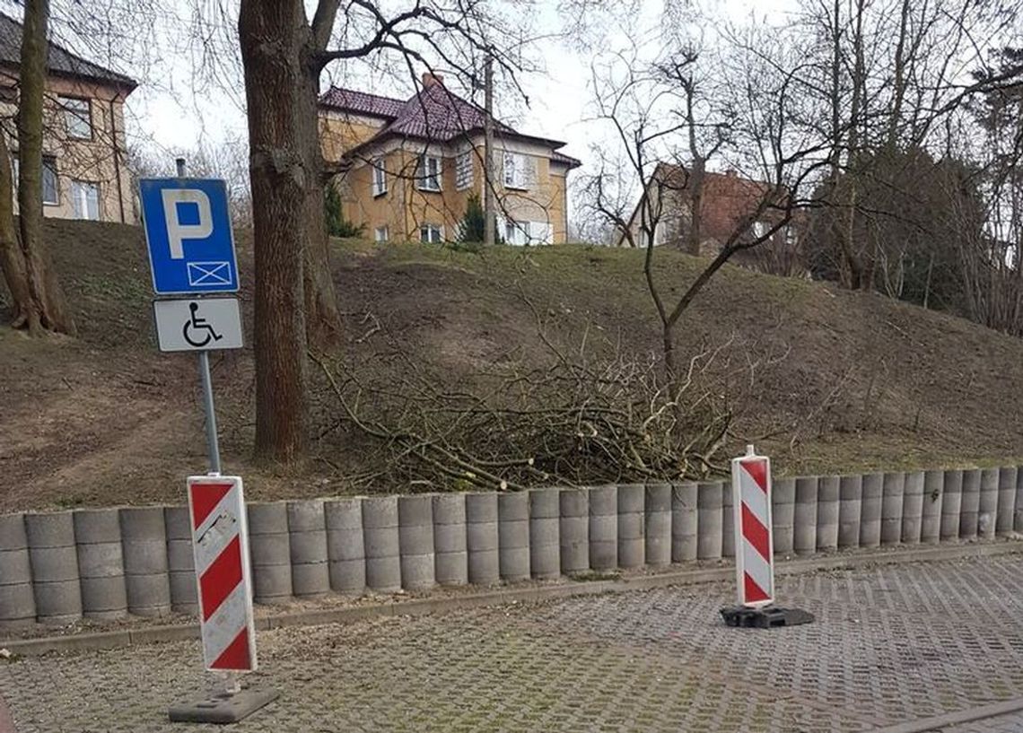 Zablokowali cztery miejsca parkingowe na wiele dni. A obciętych gałęzi nie wywożą Zablokowali cztery miejsca parkingowe na wiele dni. A obciętych gałęzi nie wywożą