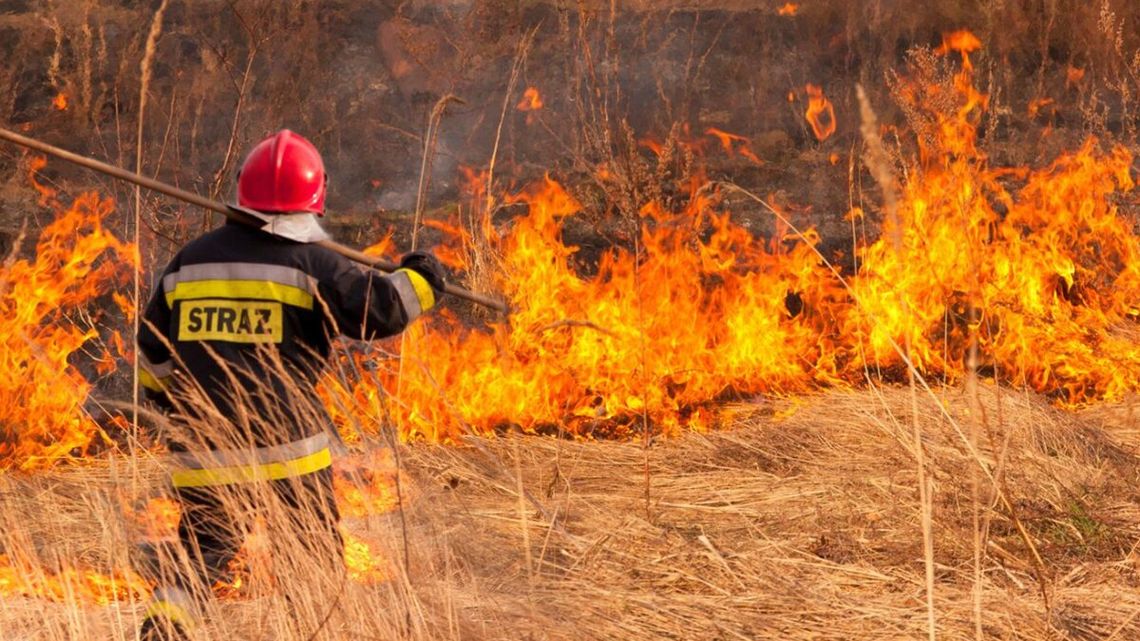Ogień wymyka się spod kontroli. Nowy taryfikator kar uderzy po kieszeni podpalaczy