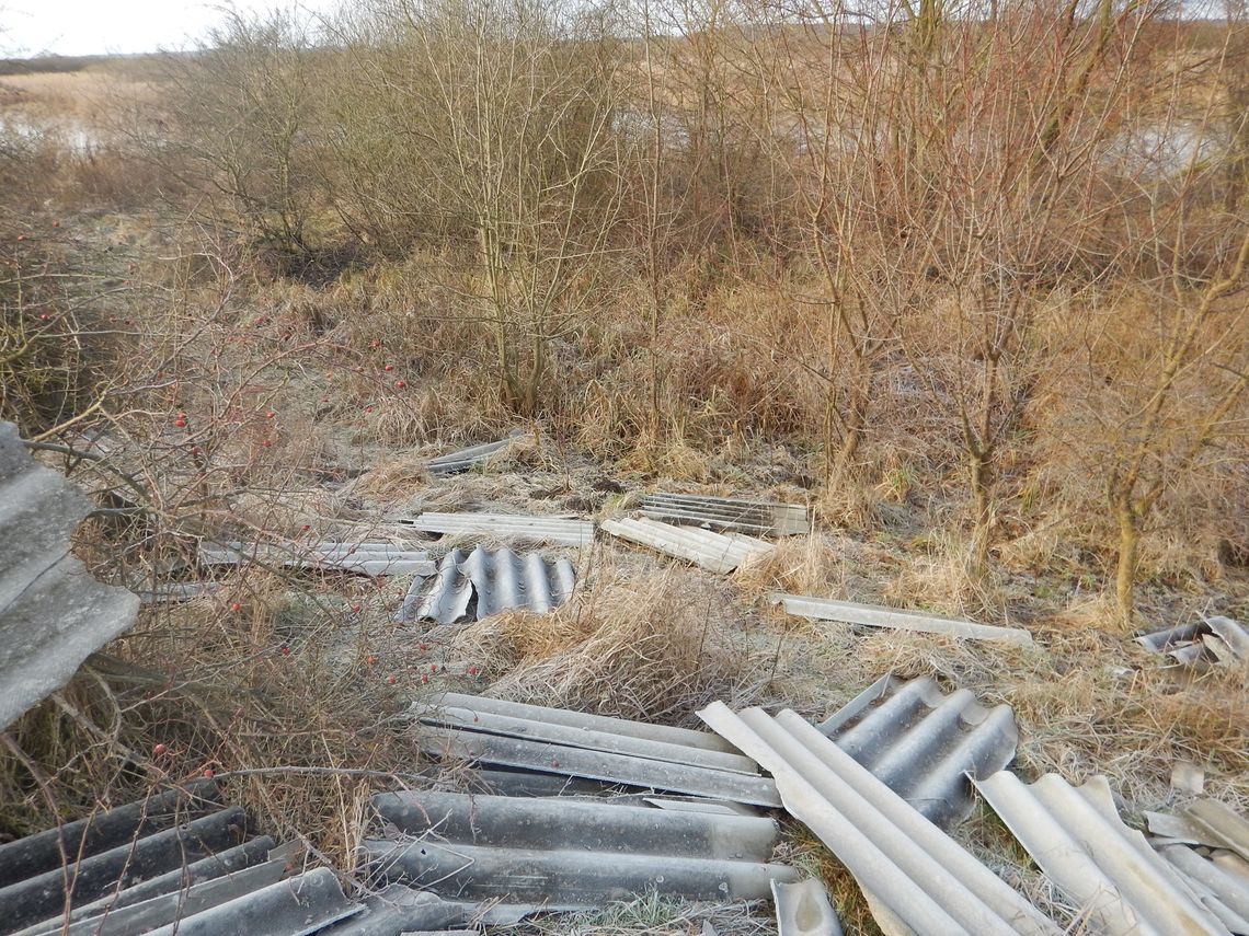 Zadbajcie o porządek za mostem! - apel do władz gmin Gryfino i Widuchowa Zadbajcie o porządek za mostem! - apel do władz gmin Gryfino i Widuchowa