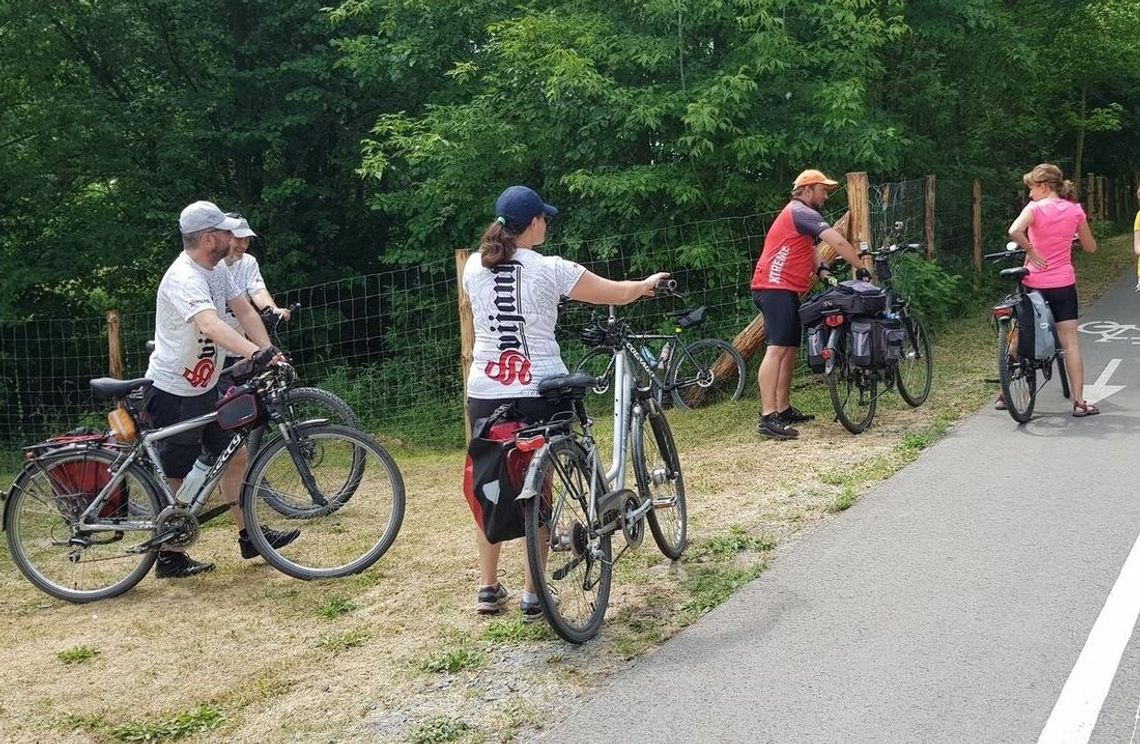 Zainstalowali liczniki rowerowe i policzyli rowerzystów