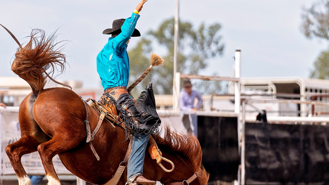 Kupili bilety na rodeo w Polsce. Miasto tłumaczy, że impreza narusza ustawę o ochronie zwierząt