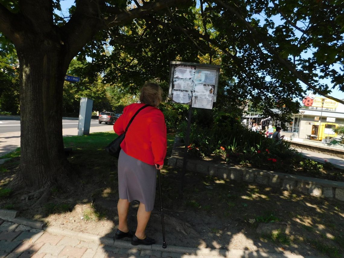 Żałoba to proces, który pokazuje nam naszą wrażliwość i siłę jednocześnie