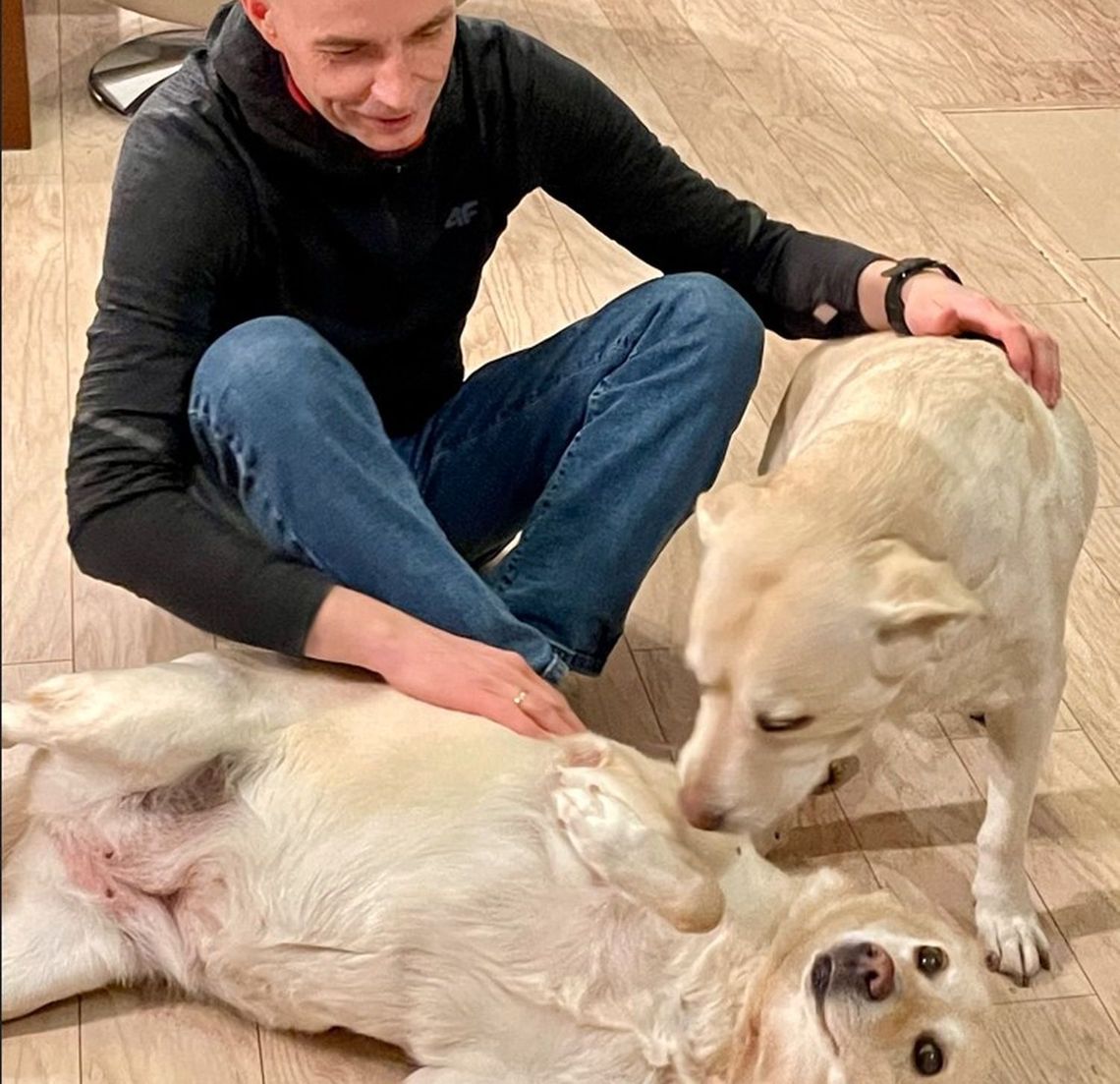 Zamiast huku fajerwerków - pokaz laserowy i pomoc zwierzętom ze schroniska