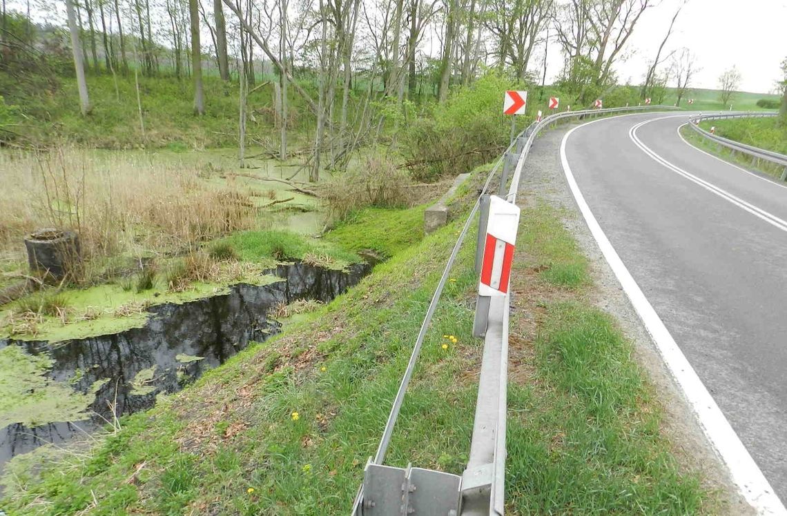 Zamkną na pięć tygodni odcinek DK 31 na trasie Gryfino - Mieszkowice