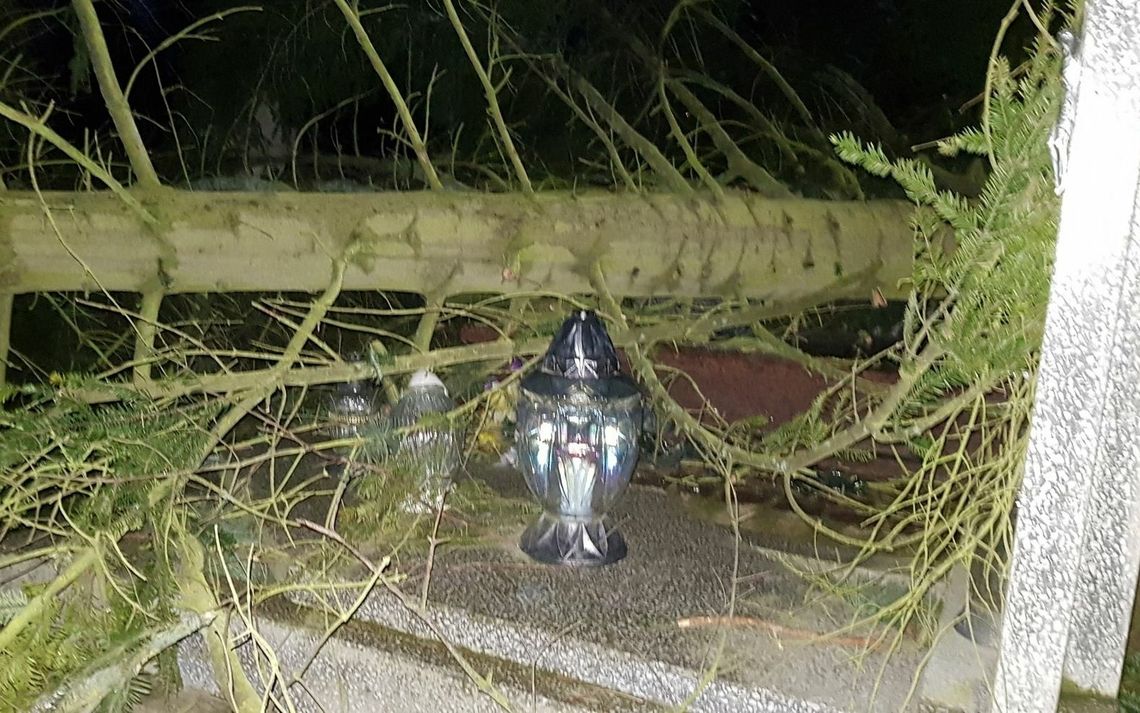 Zamknęli więcej cmentarzy Zamknęli więcej cmentarzy