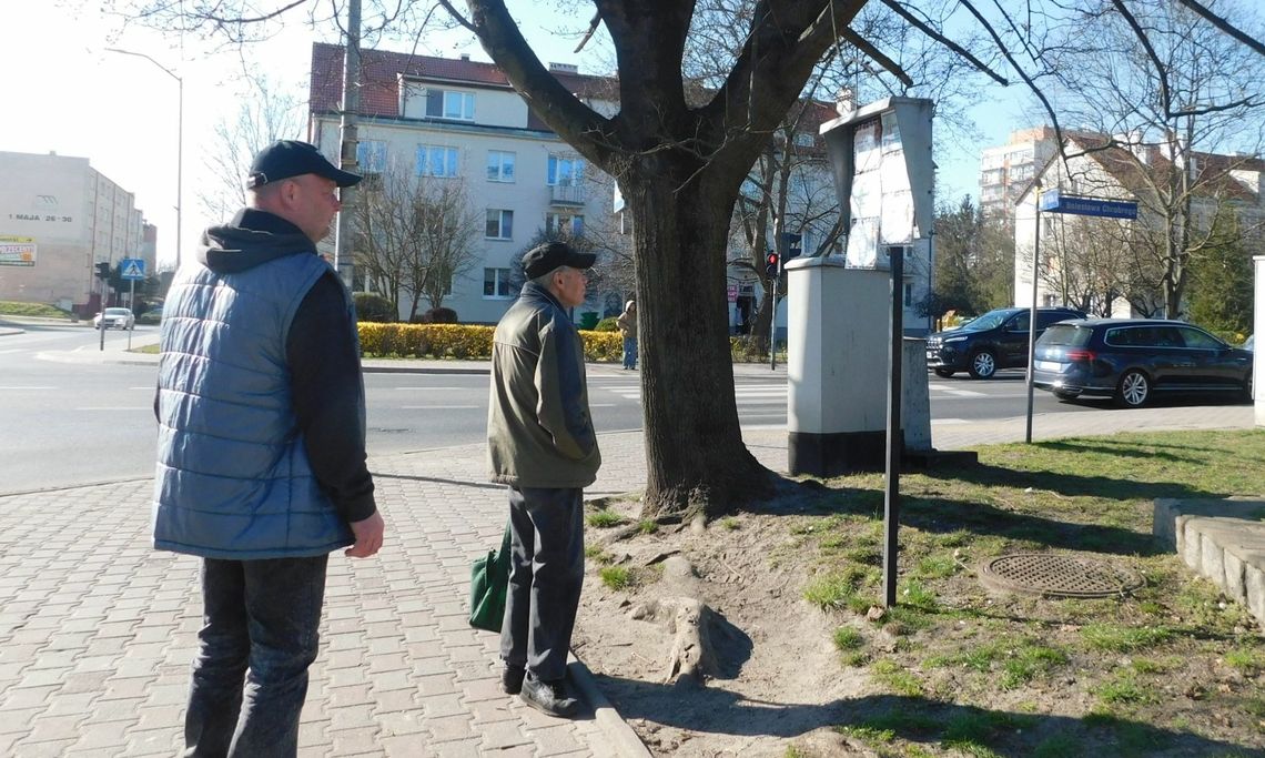 Zapełniły się tablice nowymi klepsydrami Zapełniły się tablice nowymi klepsydrami