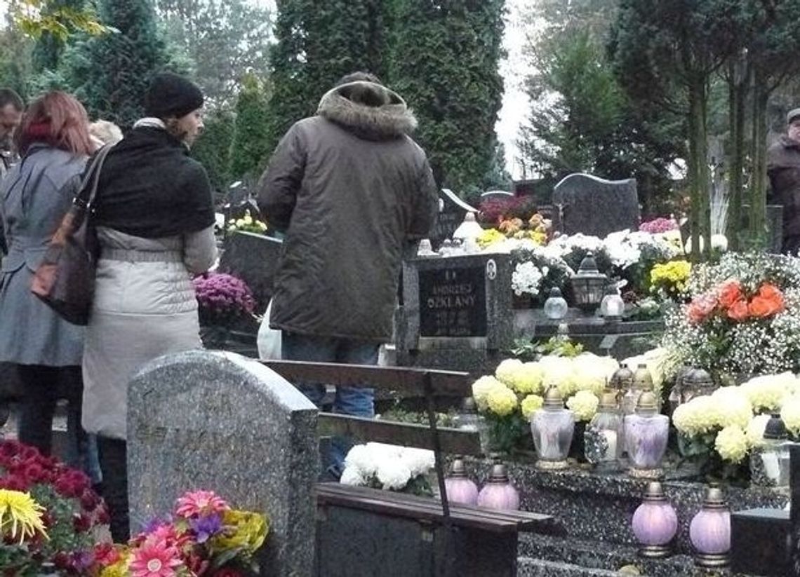 Zapewnią w tym dniu bezpłatny transport autobusowy