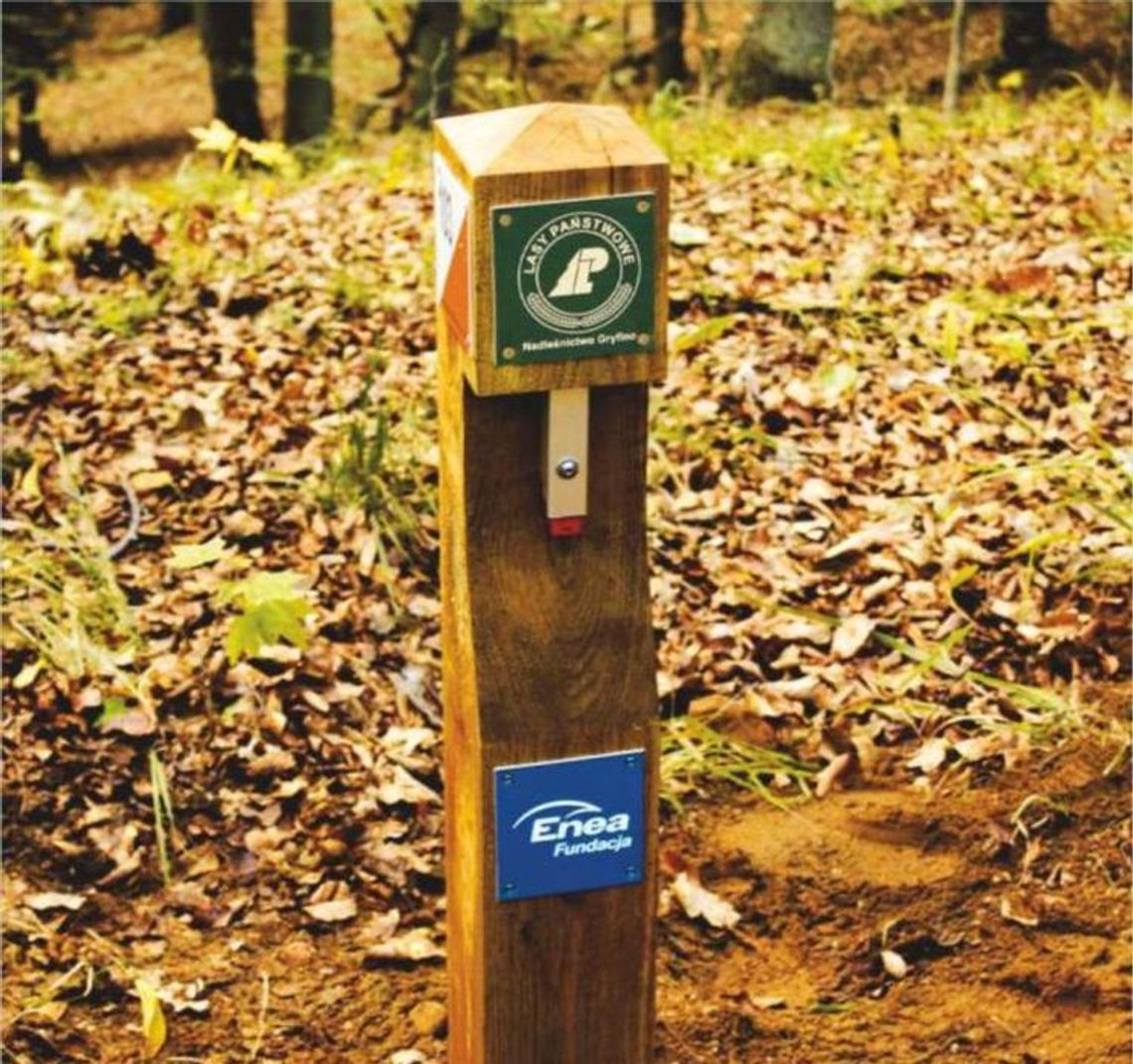 Zapraszają na orienteringowe potyczki Zapraszają na orienteringowe potyczki