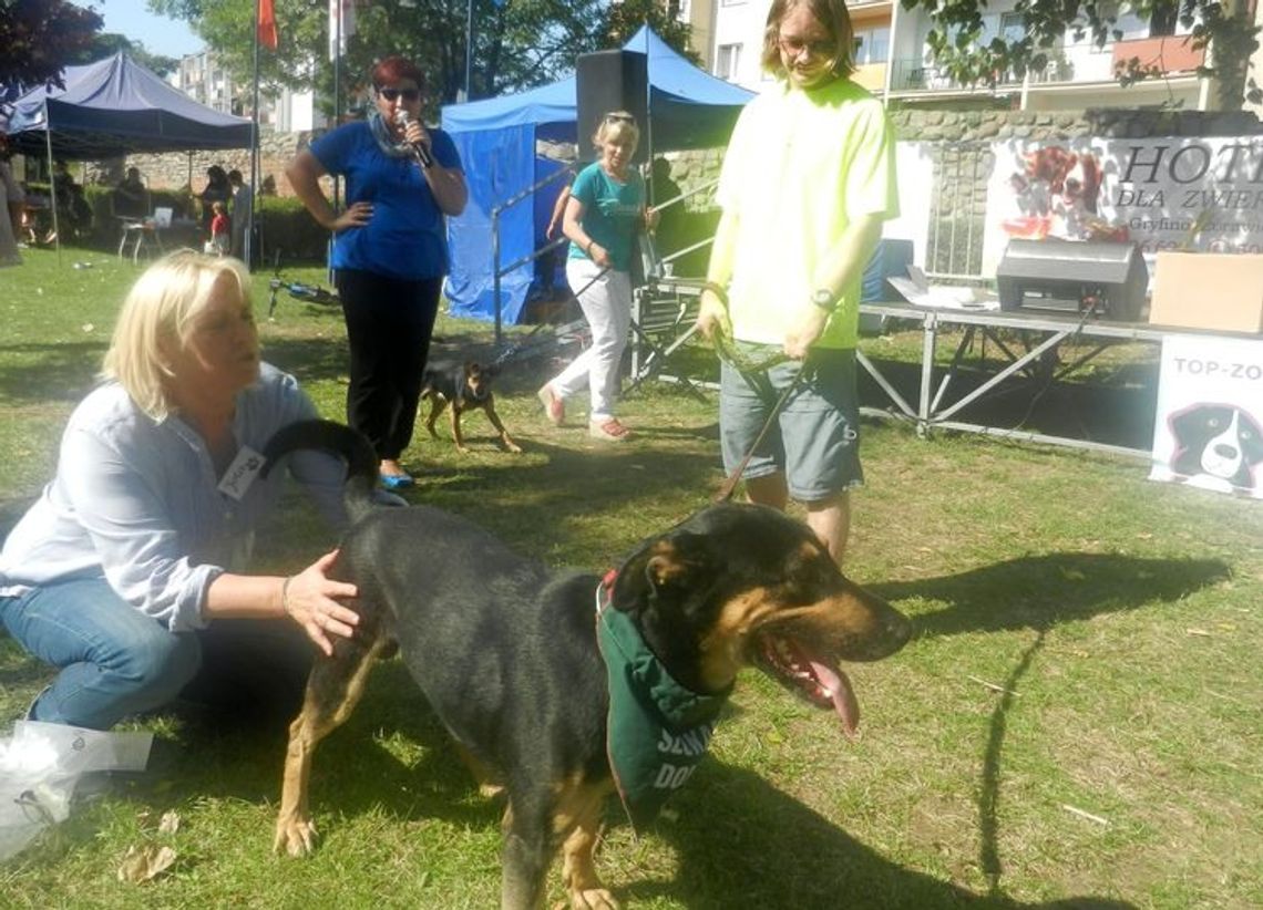 Zapraszają na pełen atrakcji piknik z psem Zapraszają na pełen atrakcji piknik z psem