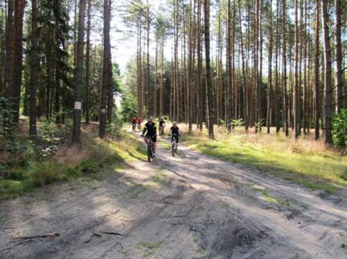 Zapraszają na rajd po lesie