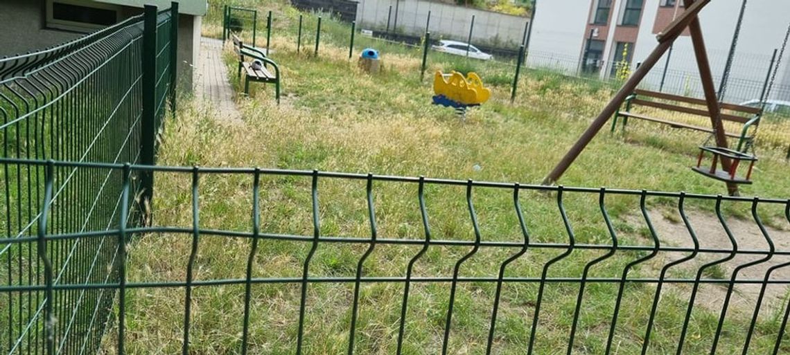 Zarośnięte aż wstyd! - zwraca uwagę czytelniczka