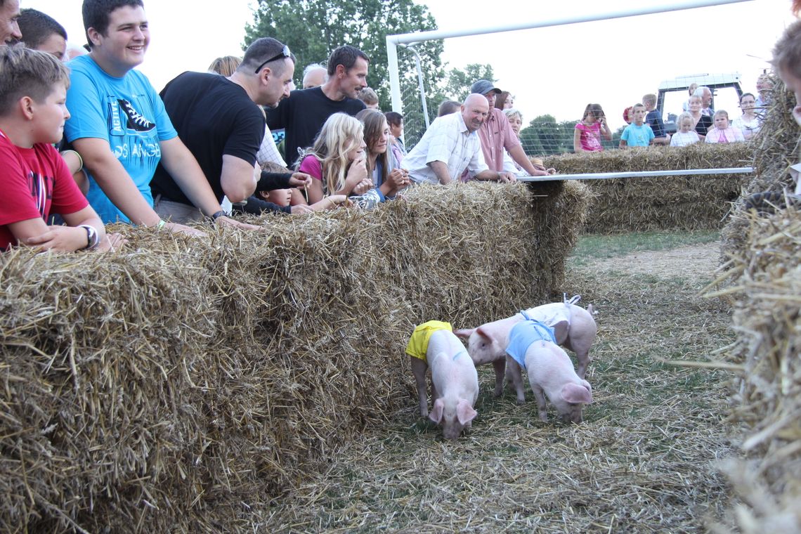 Zaskakujące miejsce wybrano na święto plonów Zaskakujące miejsce wybrano na święto plonów