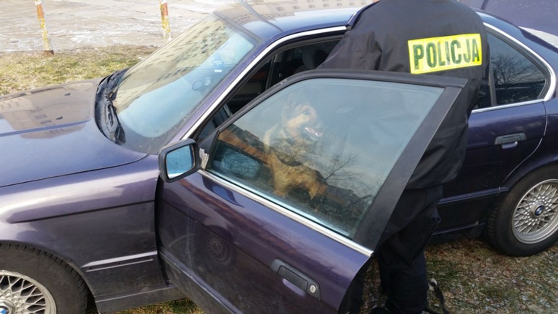 Zatrzymali go do zwykłej kontroli, a to był diler Zatrzymali go do zwykłej kontroli, a to był diler