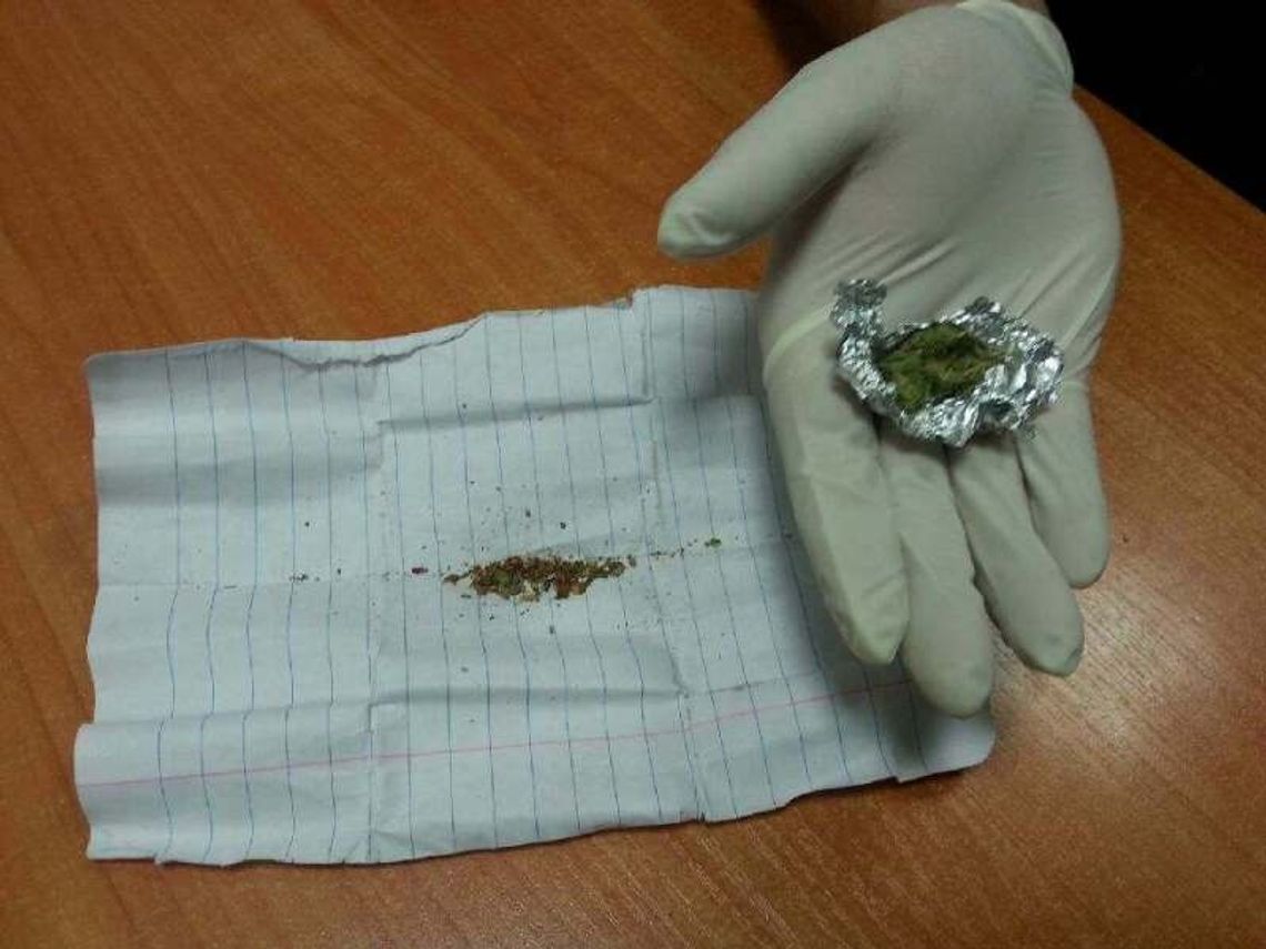 Zatrzymany nad ranem za marychę