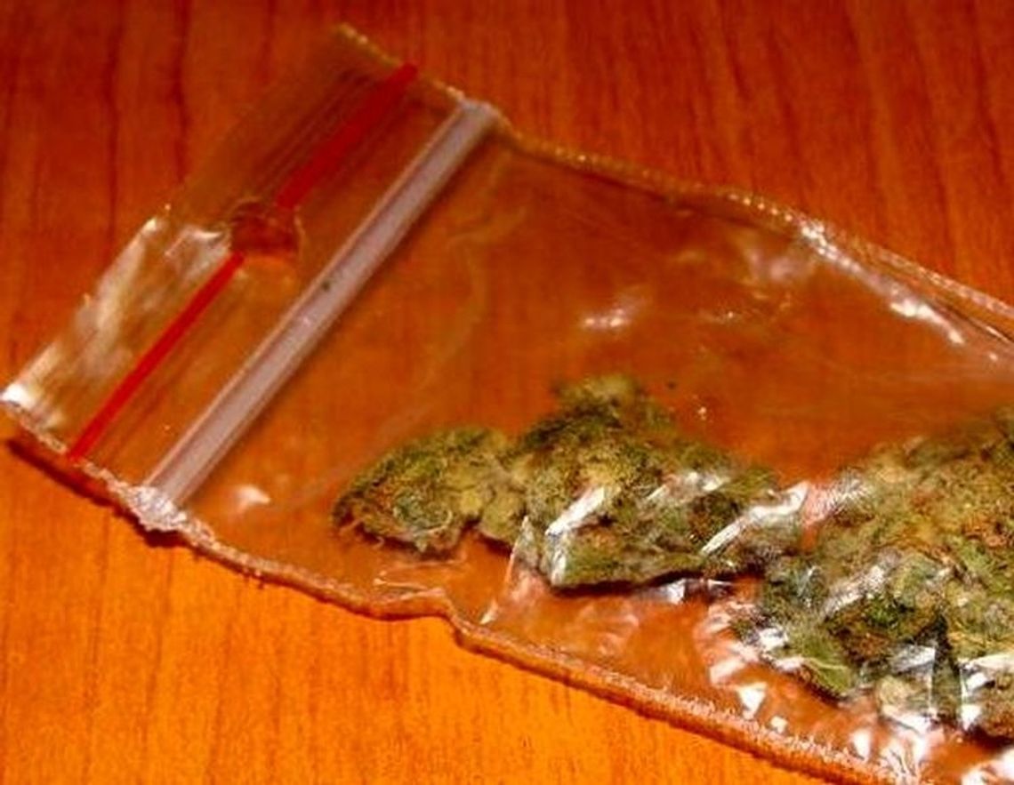 Zatrzymany za posiadanie marihuany Zatrzymany za posiadanie marihuany