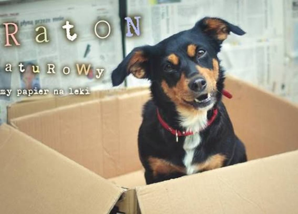 Zebrali 7,5 tys. kg makulatury Zebrali 7,5 tys. kg makulatury