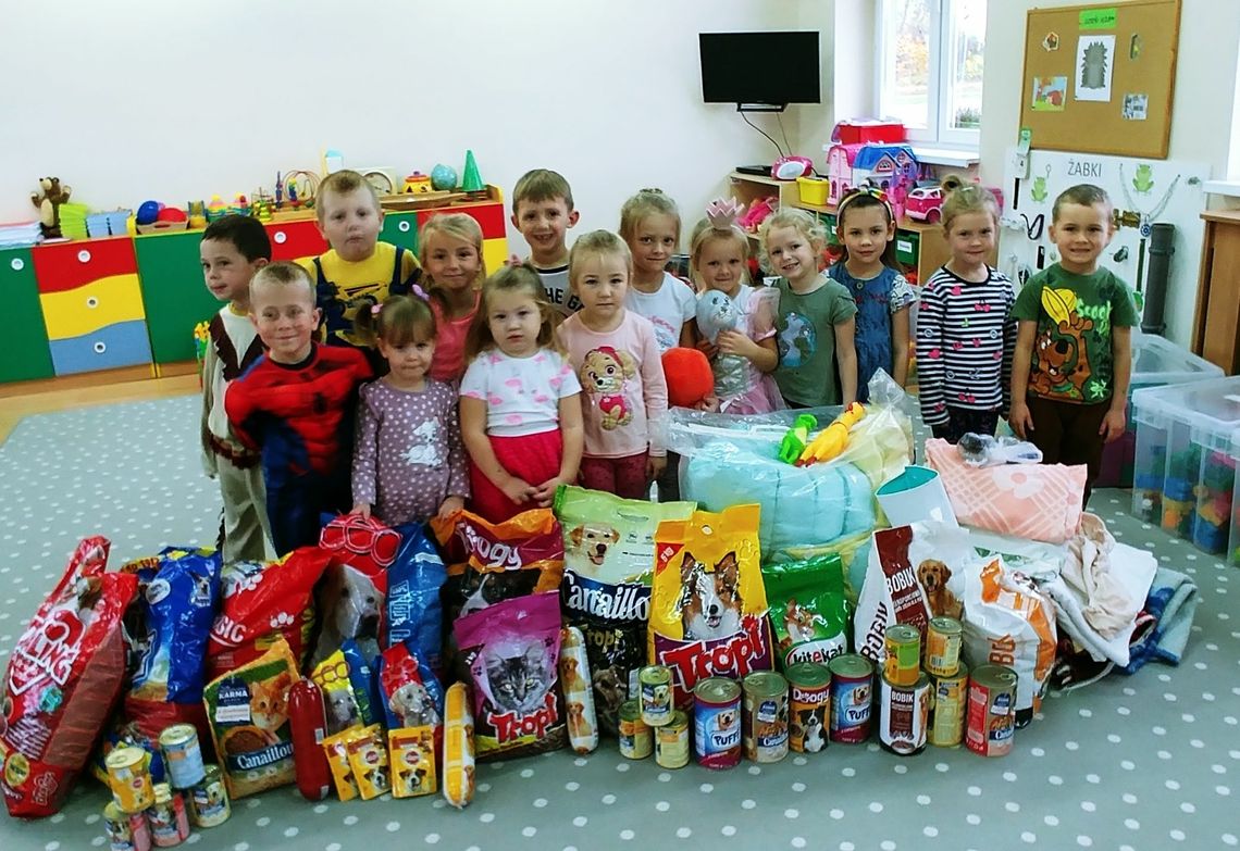 Zebrali mnóstwo karmy dla zwierząt z Kojca. Dzień Kundelka w przedszkolu