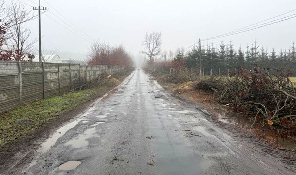 Zgodził się na wycięcie drzew przy drodze, którą dojeżdża do pracy