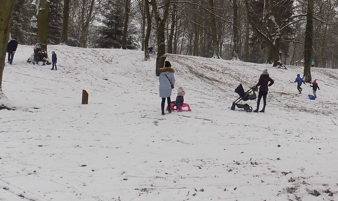 Zima się przypominała, a na ferie wycofała Zima się przypominała, a na ferie wycofała