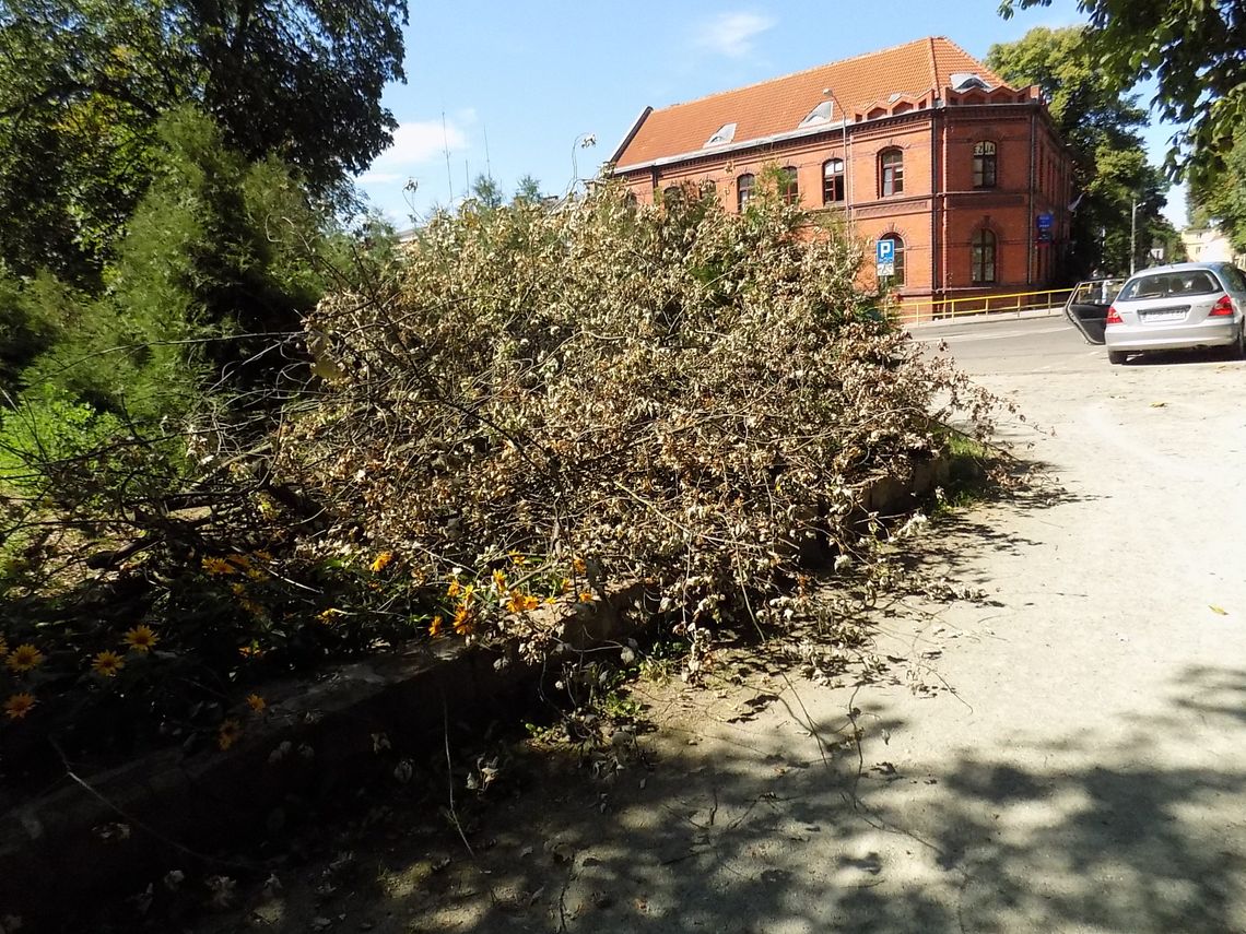 Złamał się i spadł, ale służby nadal nie reagują Złamał się i spadł, ale służby nadal nie reagują