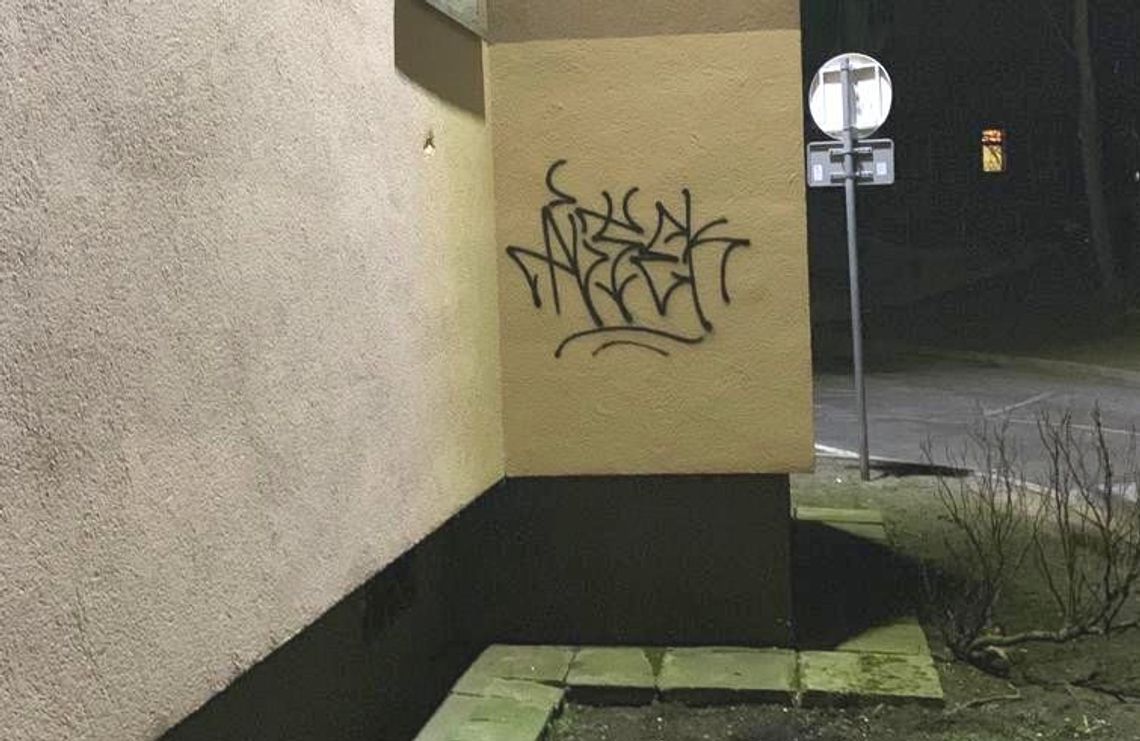 Złapali malującego graffiti. Grozi mu 5 lat więzienia