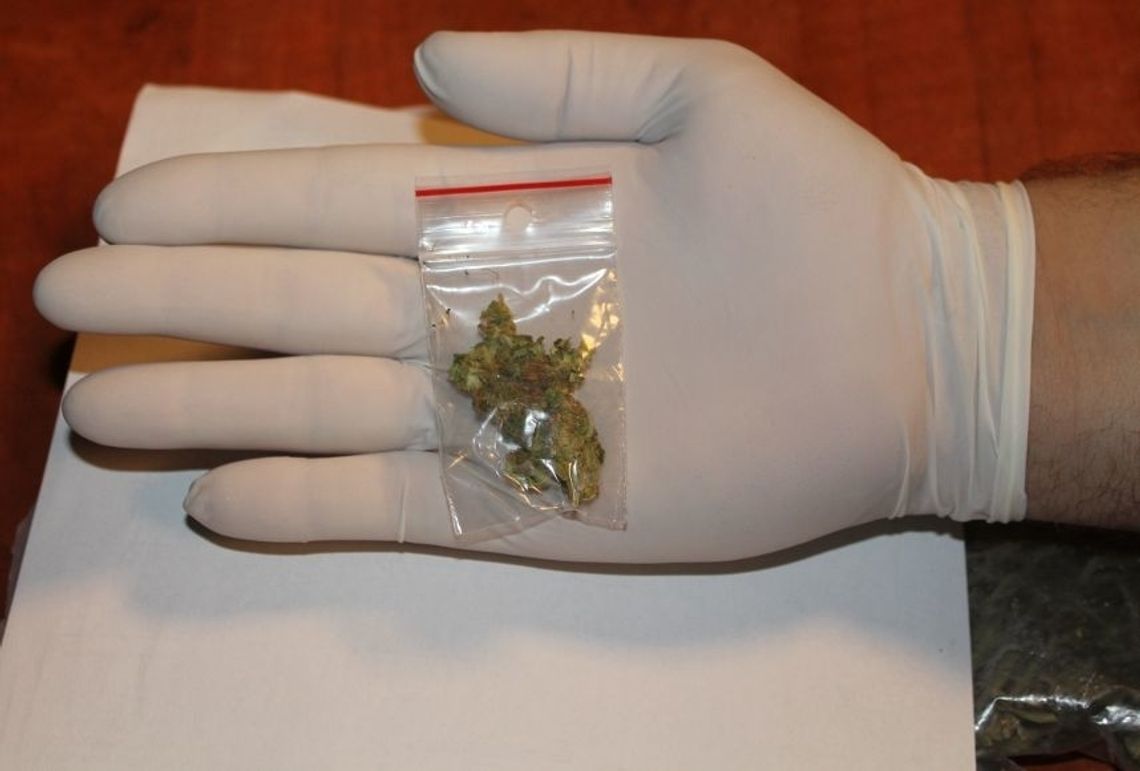 Złapany z marihuaną tuż przed północą