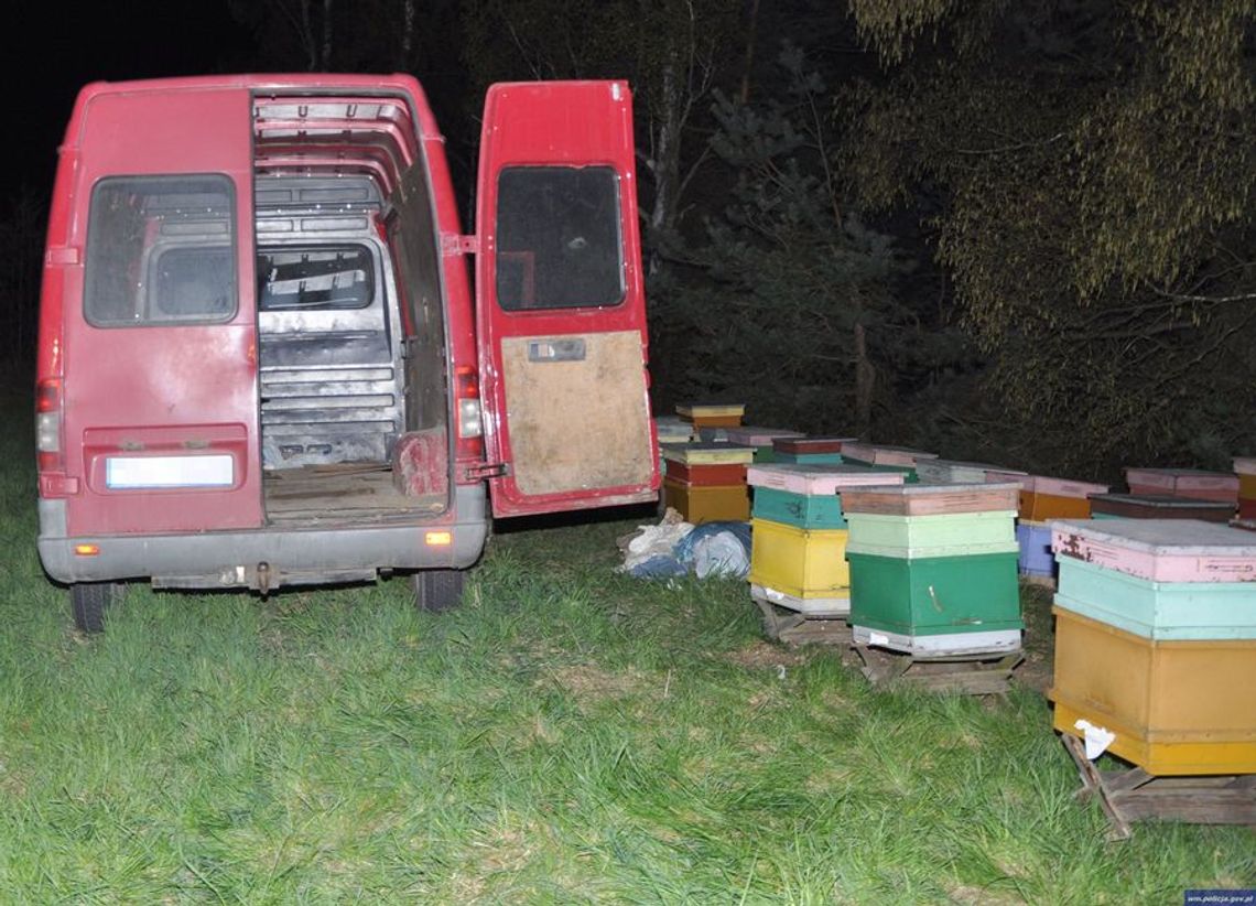 Złodziei powstrzymały pszczoły i policjanci Złodziei powstrzymały pszczoły i policjanci