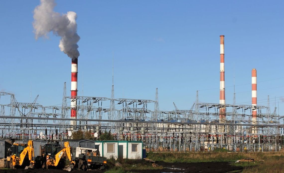 Złota karta dla ZEDO Złota karta dla ZEDO