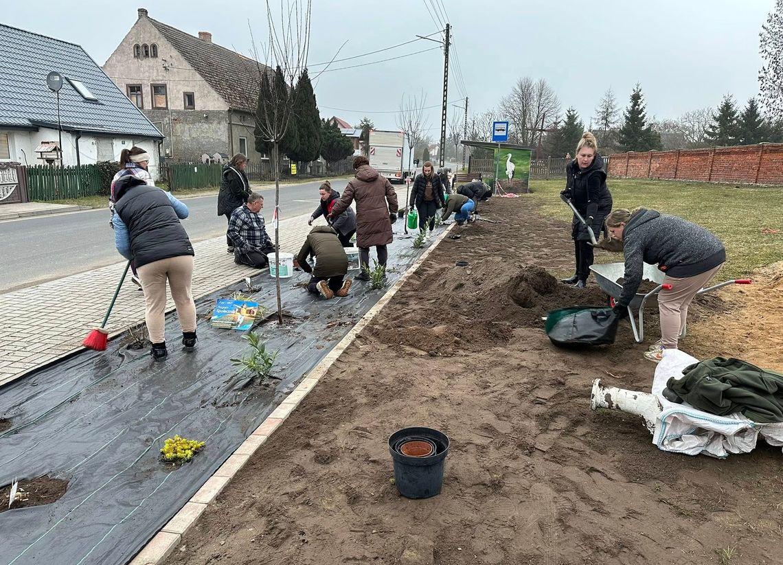 Złoty Kłos sieje dobro. Miejscowość rozkwita dzięki wspólnemu działaniu Złoty Kłos sieje dobro. Miejscowość rozkwita dzięki wspólnemu działaniu