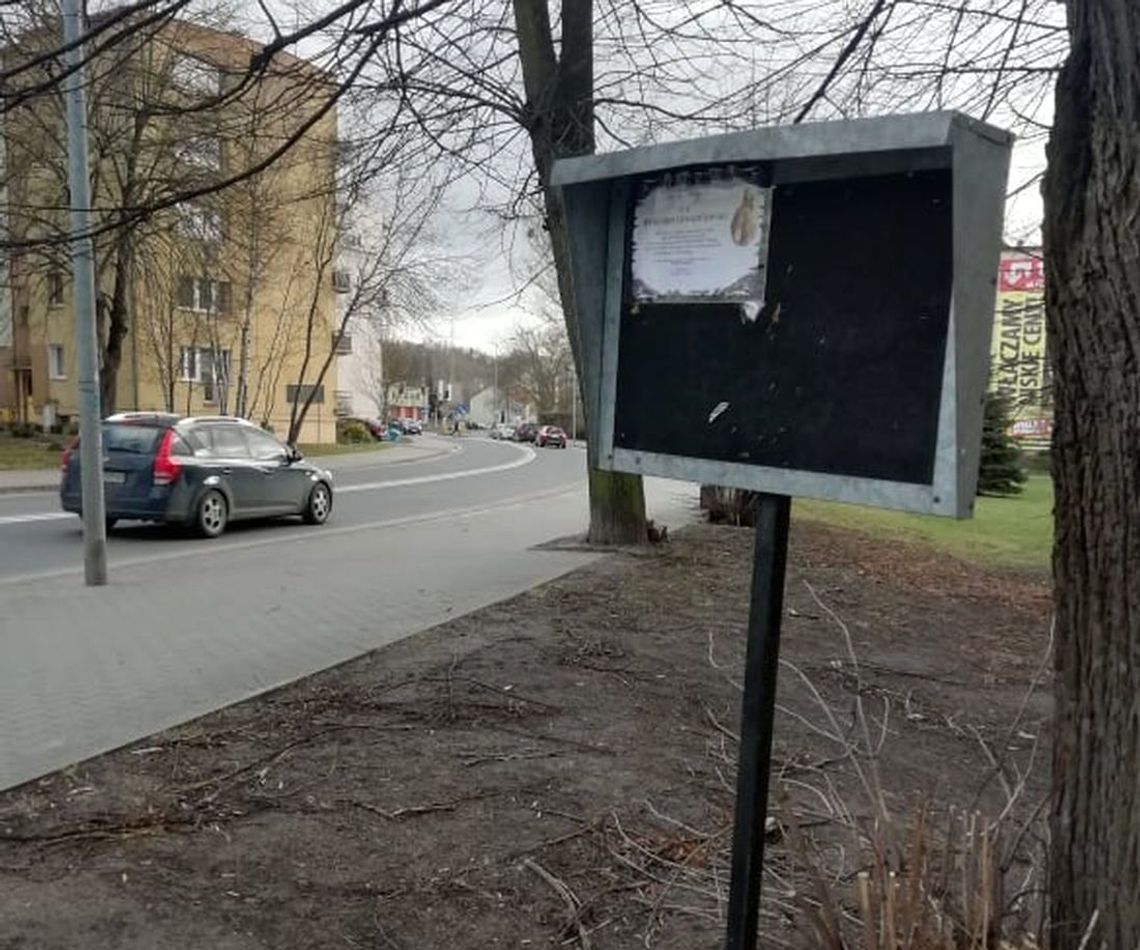 Zmarli, mając lat 53 i 74 Zmarli, mając lat 53 i 74