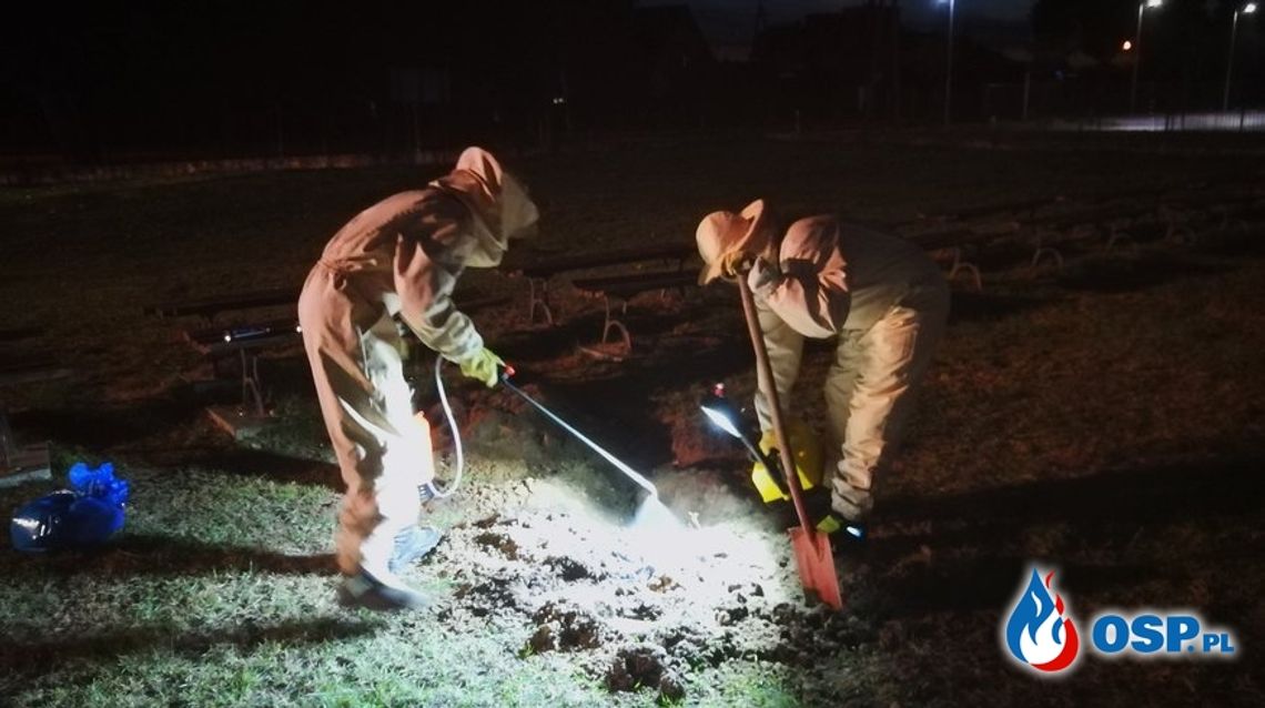 Znaleźli to na boisku szkolnym Znaleźli to na boisku szkolnym
