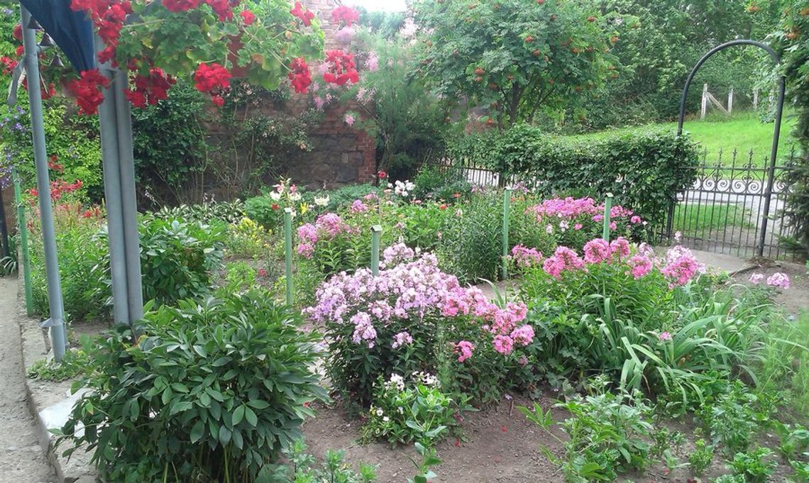 Znamy już wyniki kwiatowego konkursu Znamy już wyniki kwiatowego konkursu