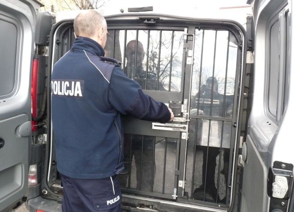 Znieważył policjantów i dostał areszt Znieważył policjantów i dostał areszt