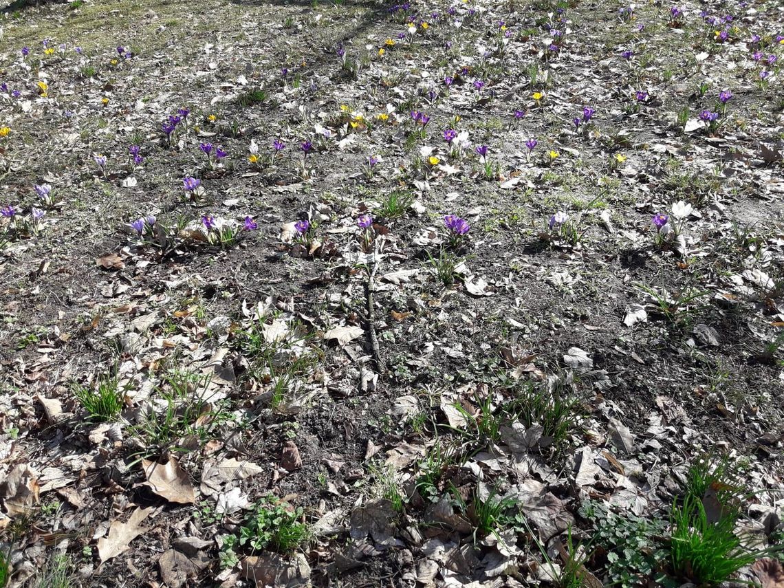 Zniknęły felerne tabliczki