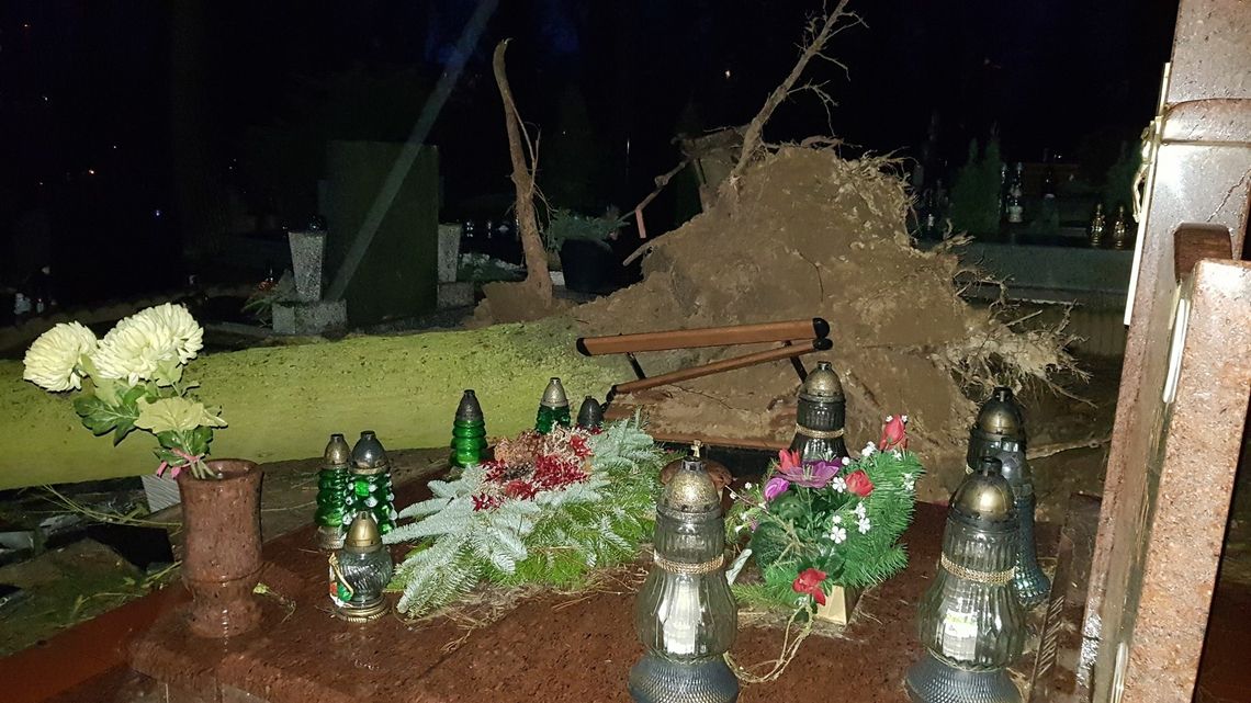 Zniszczone nagrobki na cmentarzu Zniszczone nagrobki na cmentarzu