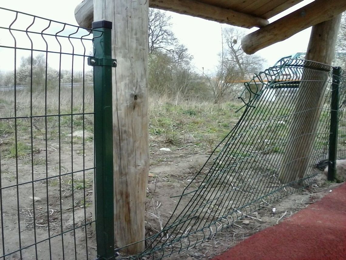 Zniszczono ścieżkę edukacyjną Zniszczono ścieżkę edukacyjną