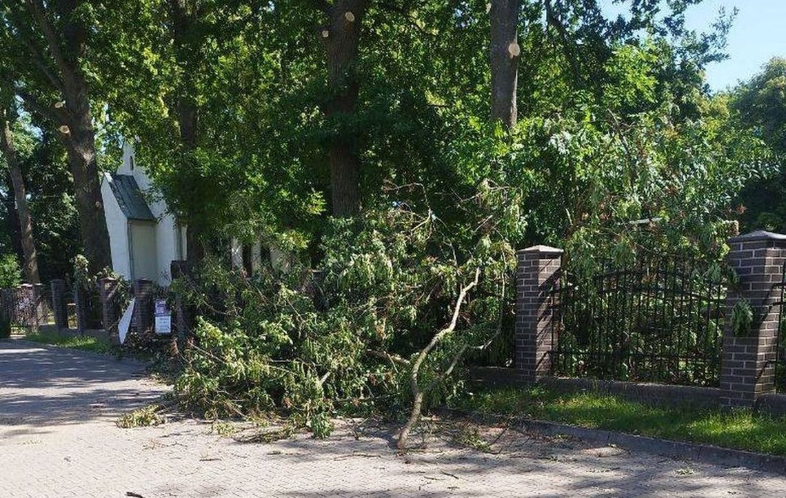 Zniszczyli ogrodzenie cmentarza i pozostawili gałęzie. Mieszkańcy są oburzeni!