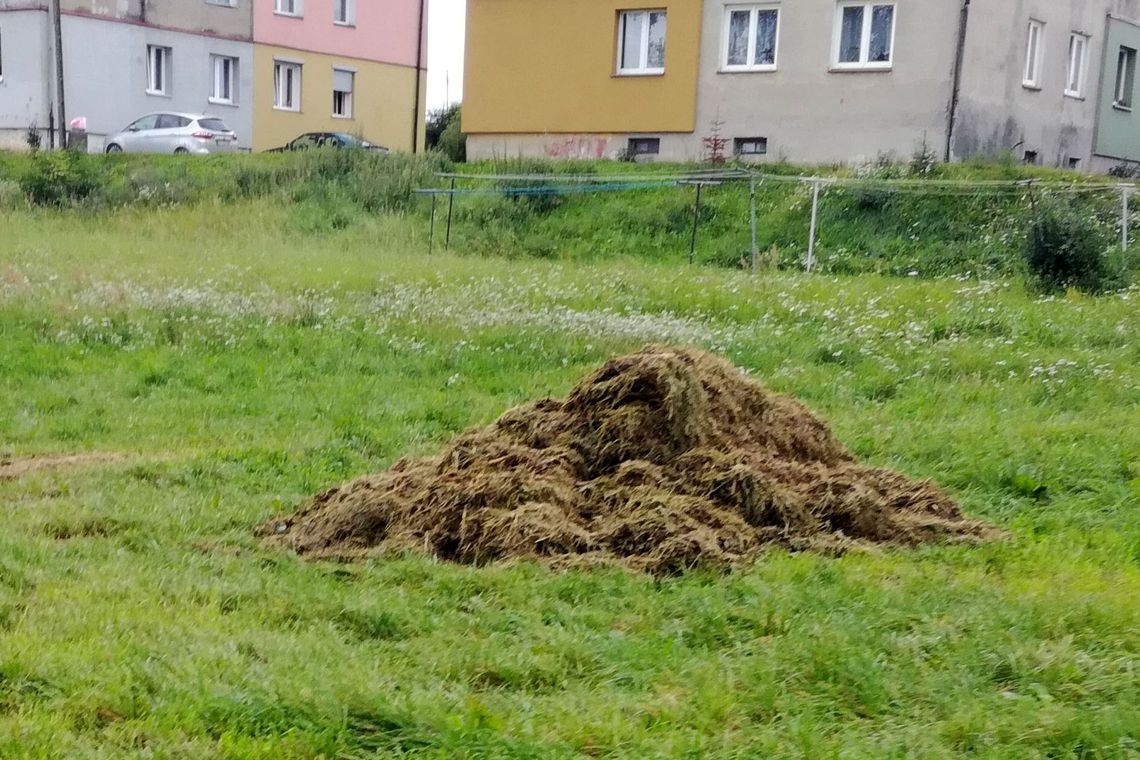 Zostawili hałdy gnijącej i śmierdzącej trawy