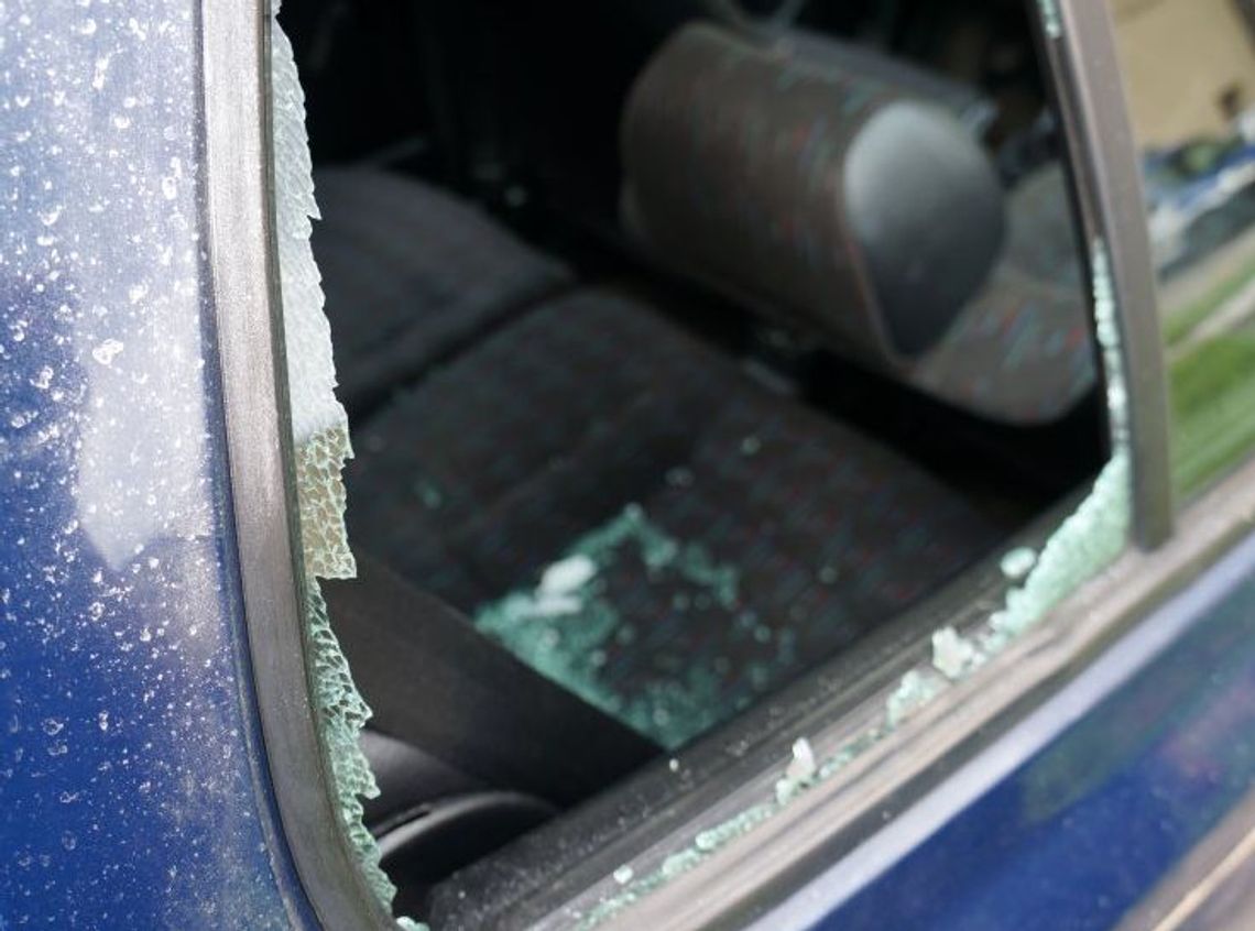 Zrobił to z zemsty czy z głupoty Zrobił to z zemsty czy z głupoty