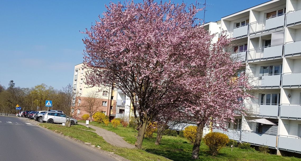 Zwróćmy uwagę na małe cuda natury