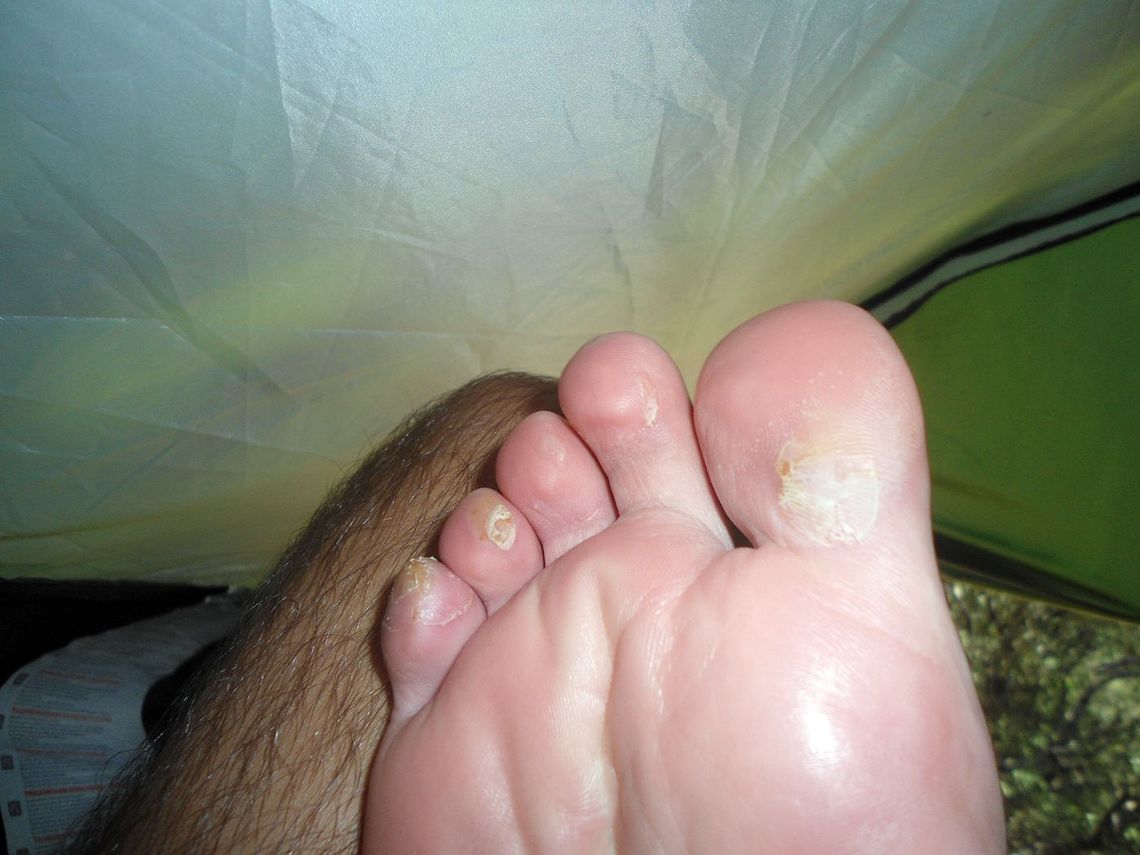 Życie włóczęgi Życie włóczęgi